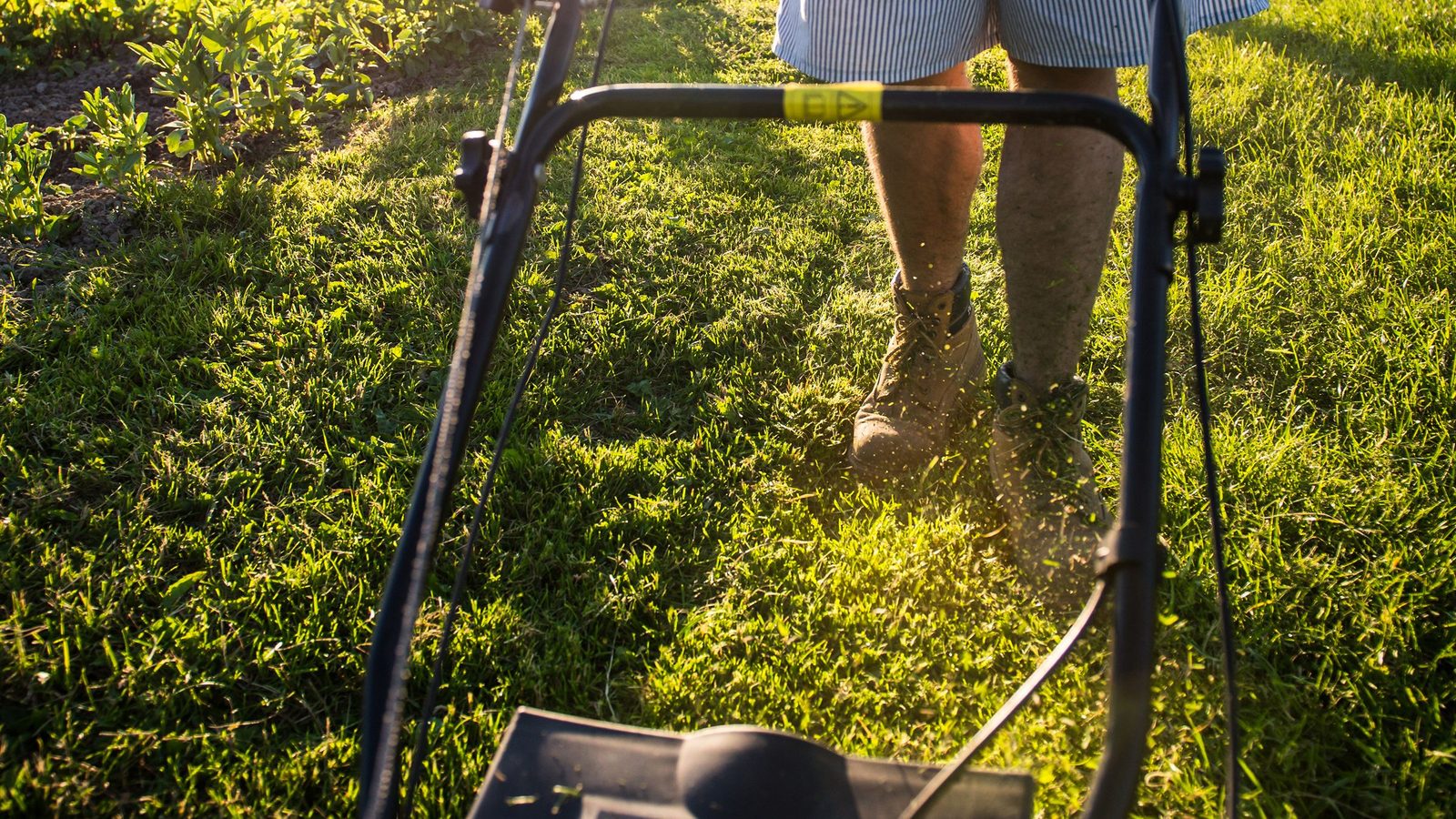 A person mowing a lawn in a green garden.